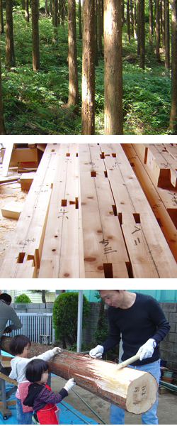 無垢の木　木材の地産地消　木の家づくり 設計工房GAKU